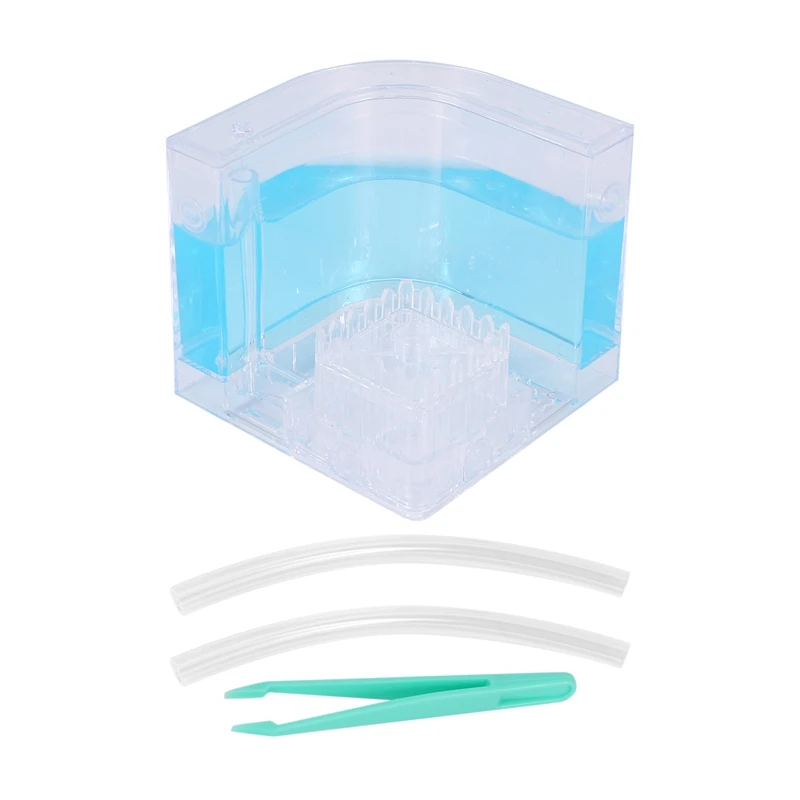 DIY Moisture with Feeding Area Ant Nest Ant Farm Ant Nests Villa Pet for House Ants Ant Workshop Ant Nest Science Educational To
DIY Moisture with Feeding Area Ant Nest Ant Farm Ant Nests Villa Pet for House Ants Ant Workshop Ant Nest Science Educational To