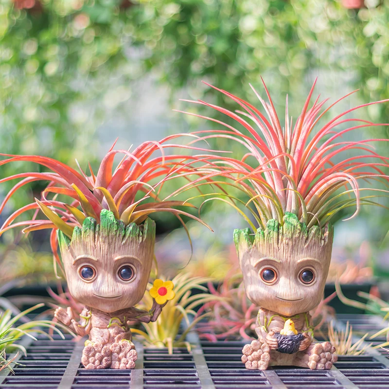 Creative Treeman Flower Pot Tree Cute Baby Planter Tree Toy Pens Holder with Drainage Hole Garden Supplies Home Decoration
Creative Treeman Flower Pot Tree Cute Baby Planter Tree Toy Pens Holder with Drainage Hole Garden Supplies Home Decoration