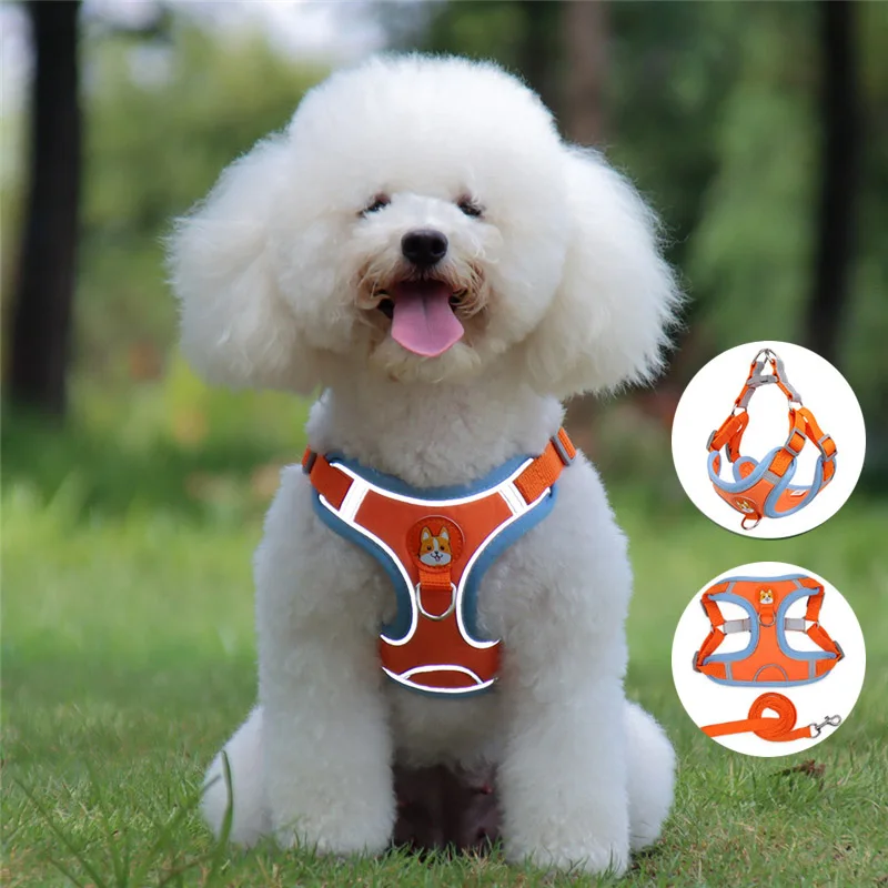 S-XL Suede Chest Harness for Small Puppy Cats Reflective Fashion Harness Vest with Rope Breathable Pet Supplies Dog Accessories
S-XL Suede Chest Harness for Small Puppy Cats Reflective Fashion Harness Vest with Rope Breathable Pet Supplies Dog Accessories