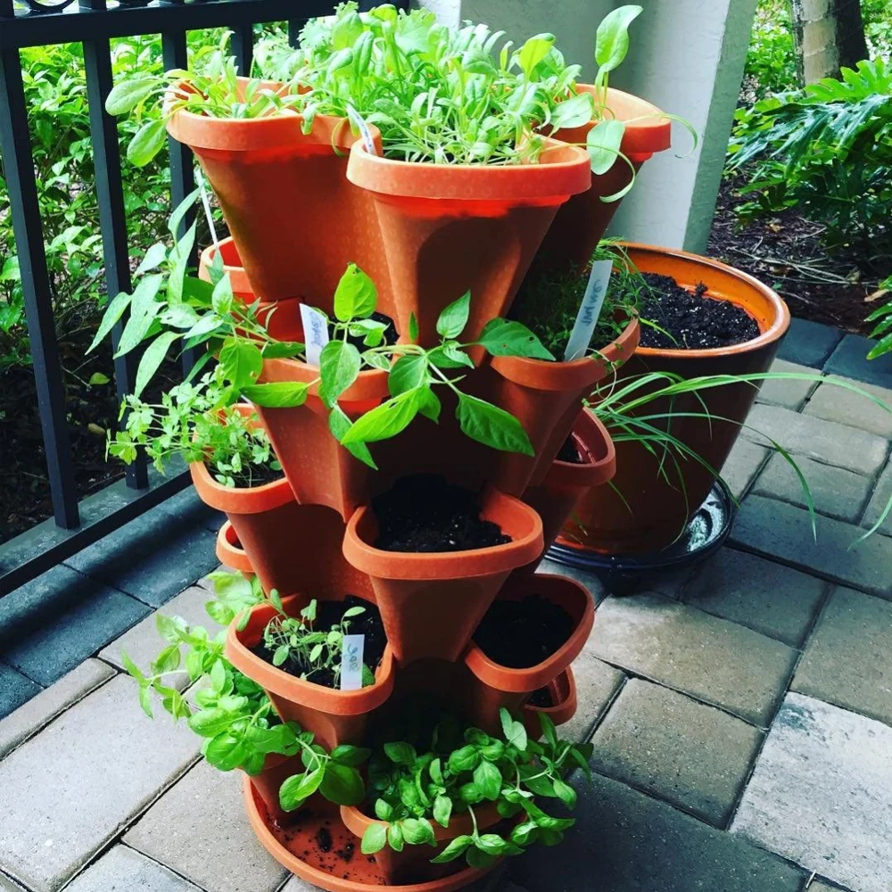 6pcs Flowepot Multilayer Stacking Cultivation Pot Vegetable Melon Fruit Strawberry Planting Fruit Planting Pot Pots for Plants
6pcs Flowepot Multilayer Stacking Cultivation Pot Vegetable Melon Fruit Strawberry Planting Fruit Planting Pot Pots for Plants