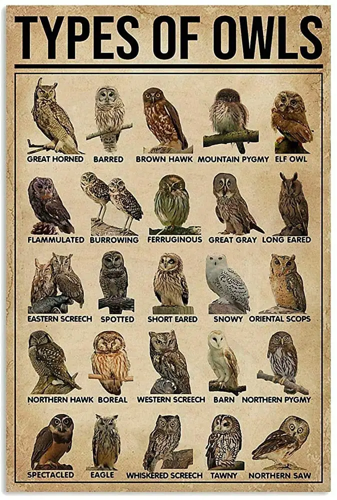 Types of Owls Knowledge Metal Tin Sign Retro Kitchen Garden Restaurant Farm Shopping Mall Bar Cafe Man Cave Farm Wall Decoration
Types of Owls Knowledge Metal Tin Sign Retro Kitchen Garden Restaurant Farm Shopping Mall Bar Cafe Man Cave Farm Wall Decoration