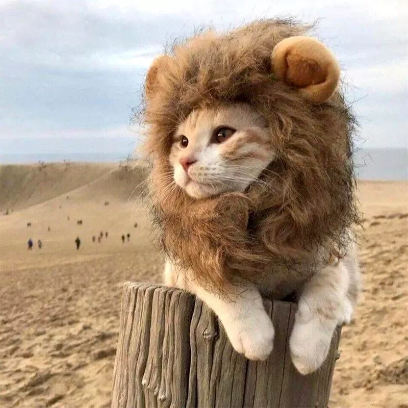 NEW Cute Lion Mane Wig Pet Small Dog Cats Costume Lion Mane Wig Cap Hat for CAT Dogs Fancy Costume Cosplay Toy Pet Supplies
NEW Cute Lion Mane Wig Pet Small Dog Cats Costume Lion Mane Wig Cap Hat for CAT Dogs Fancy Costume Cosplay Toy Pet Supplies