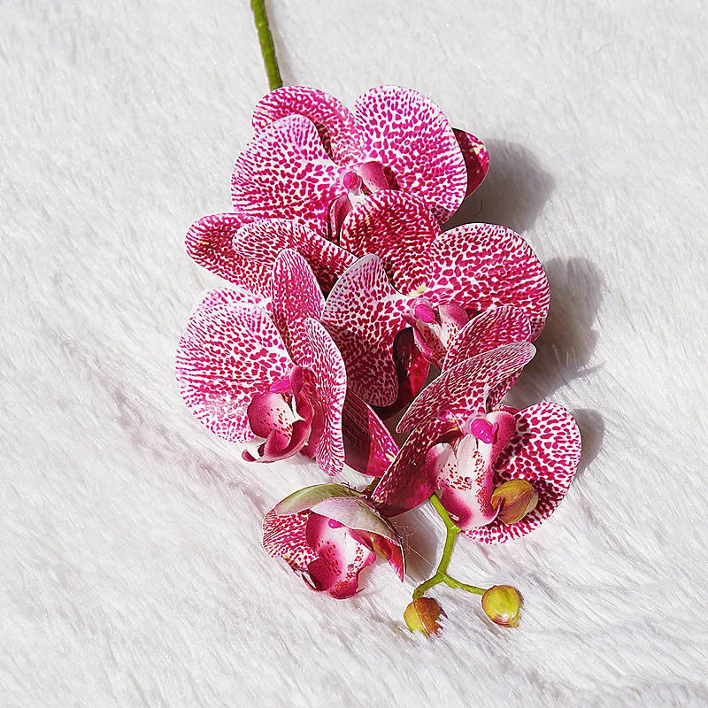 10 Pcs/lot Wholesale Latex orchid branch artificial flowers Home garden decor flores artificiales white orchids
10 Pcs/lot Wholesale Latex orchid branch artificial flowers Home garden decor flores artificiales white orchids