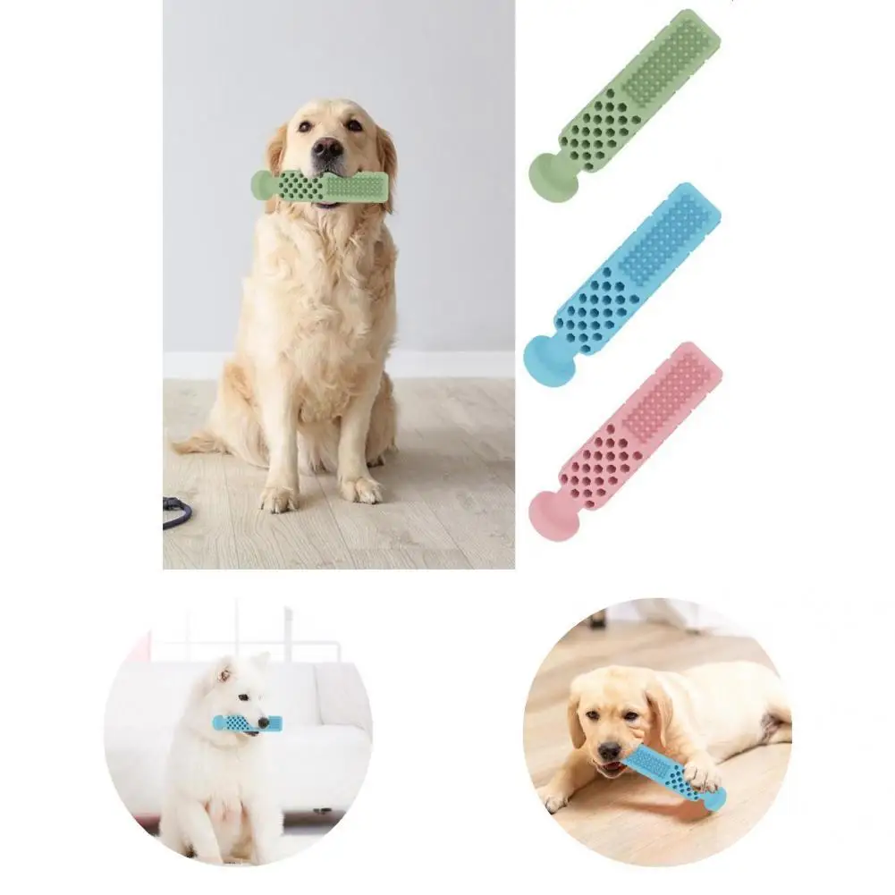Pet Molar Toy Safe Scratch-resistant Cat Bite Toy Pet Molar Stick for Indoor and Outdoor Dog Bite Toy Pet Teething Toy
Pet Molar Toy Safe Scratch-resistant Cat Bite Toy Pet Molar Stick for Indoor and Outdoor Dog Bite Toy Pet Teething Toy