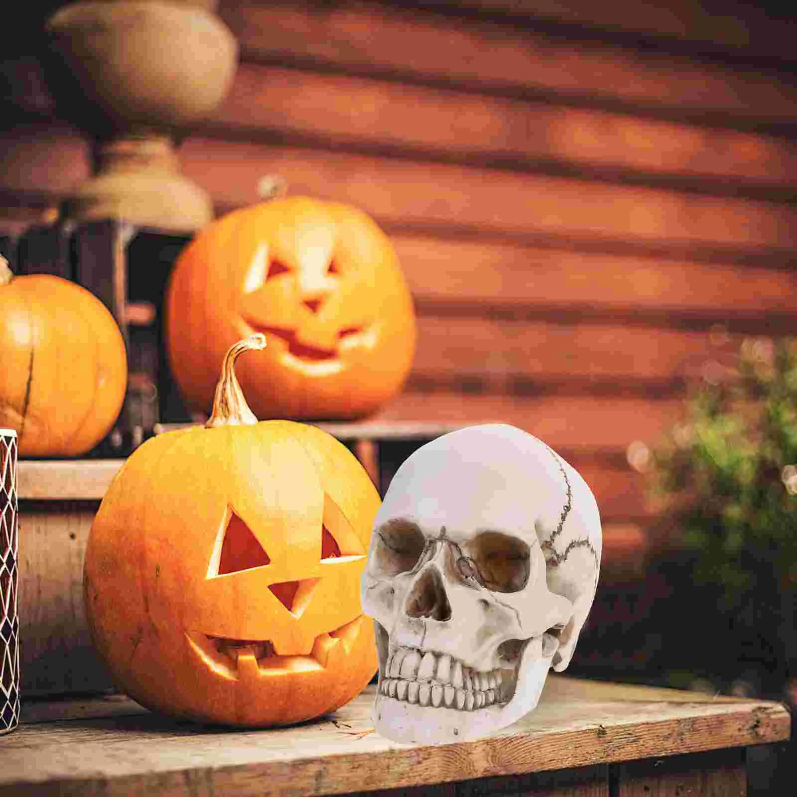 Human Model Head Halloweenresin 1 Decorlifesizemovable Teethsize Life Bone Figurineanatomical Realisticuse Tracing Decorations
Human Model Head Halloweenresin 1 Decorlifesizemovable Teethsize Life Bone Figurineanatomical Realisticuse Tracing Decorations