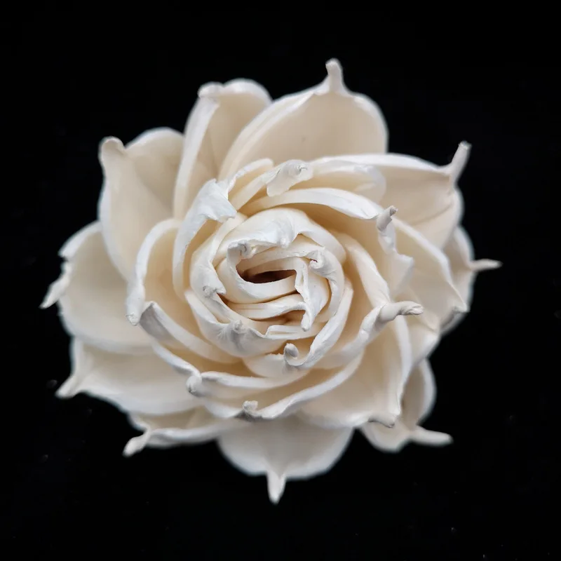 10pcs Diameter 8cm Dried Chinese Rose Flowers Home Fragrance Rattan Sticks Aromatherapy Diffuser Handmade Wood Sola Flowers
10pcs Diameter 8cm Dried Chinese Rose Flowers Home Fragrance Rattan Sticks Aromatherapy Diffuser Handmade Wood Sola Flowers