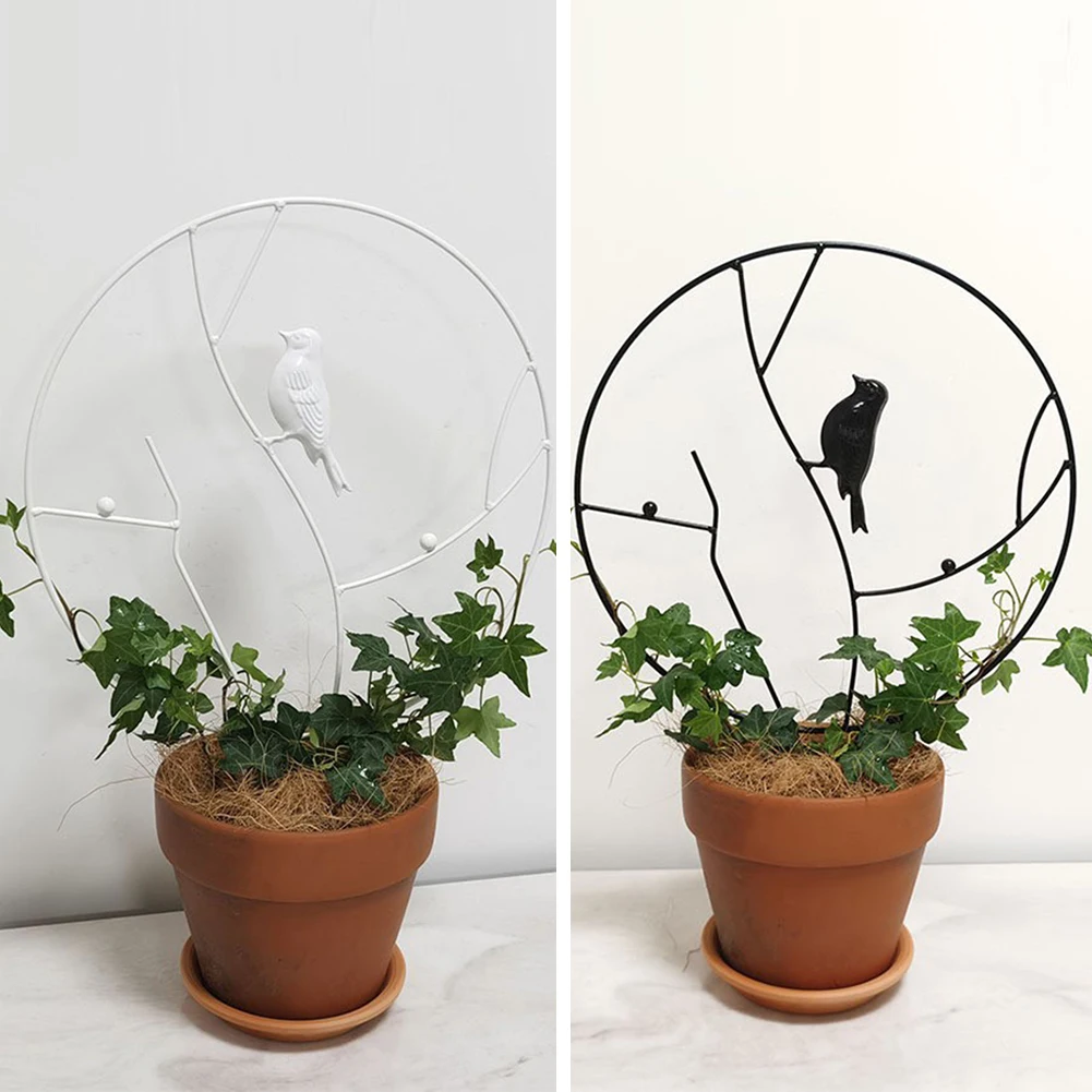 Plant Flower Vines Climbing Trellis Potted Gardening Support Holder Piece Climbing Plants Support
Plant Flower Vines Climbing Trellis Potted Gardening Support Holder Piece Climbing Plants Support