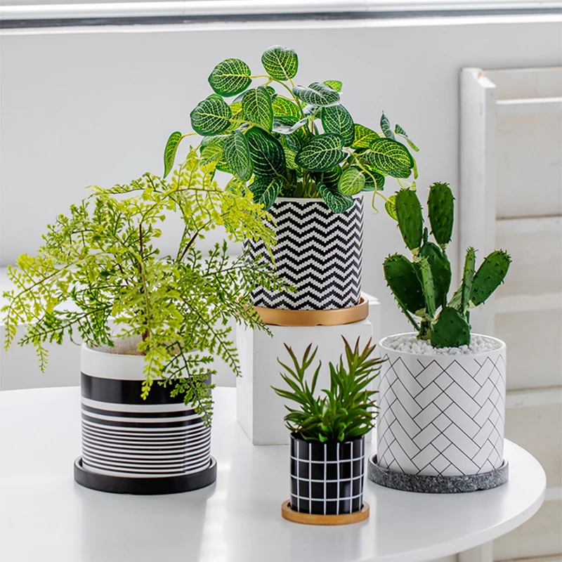 Nordic Geometric Art Ceramic Flowerpot Succulent Cactus Planter Golden Green Plants Pot With Hole Tray Luxury Home Decoration
Nordic Geometric Art Ceramic Flowerpot Succulent Cactus Planter Golden Green Plants Pot With Hole Tray Luxury Home Decoration