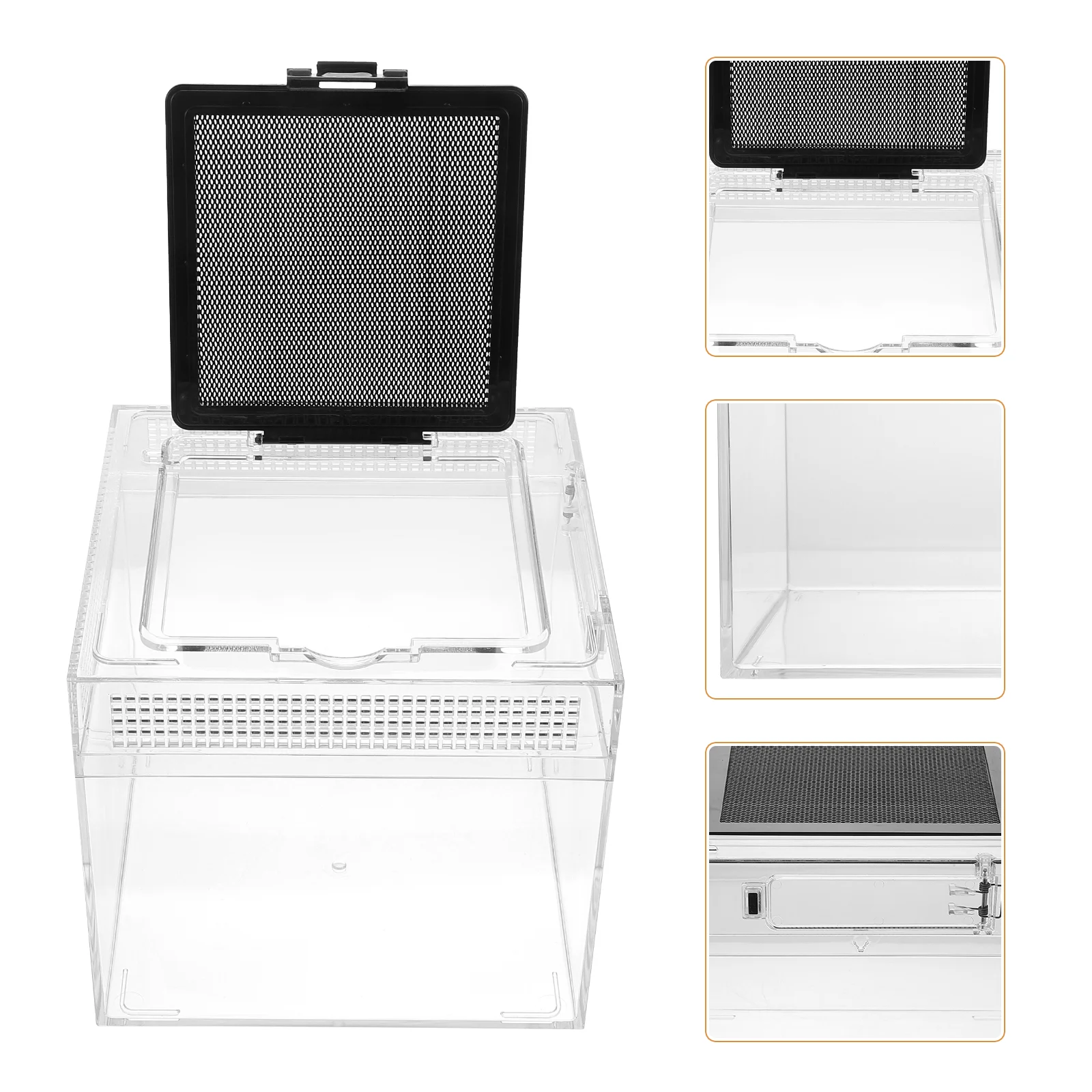 1Pc Plastic Reptile Box Climbing Pet Display Container Clear Spider Breeding Box
1Pc Plastic Reptile Box Climbing Pet Display Container Clear Spider Breeding Box