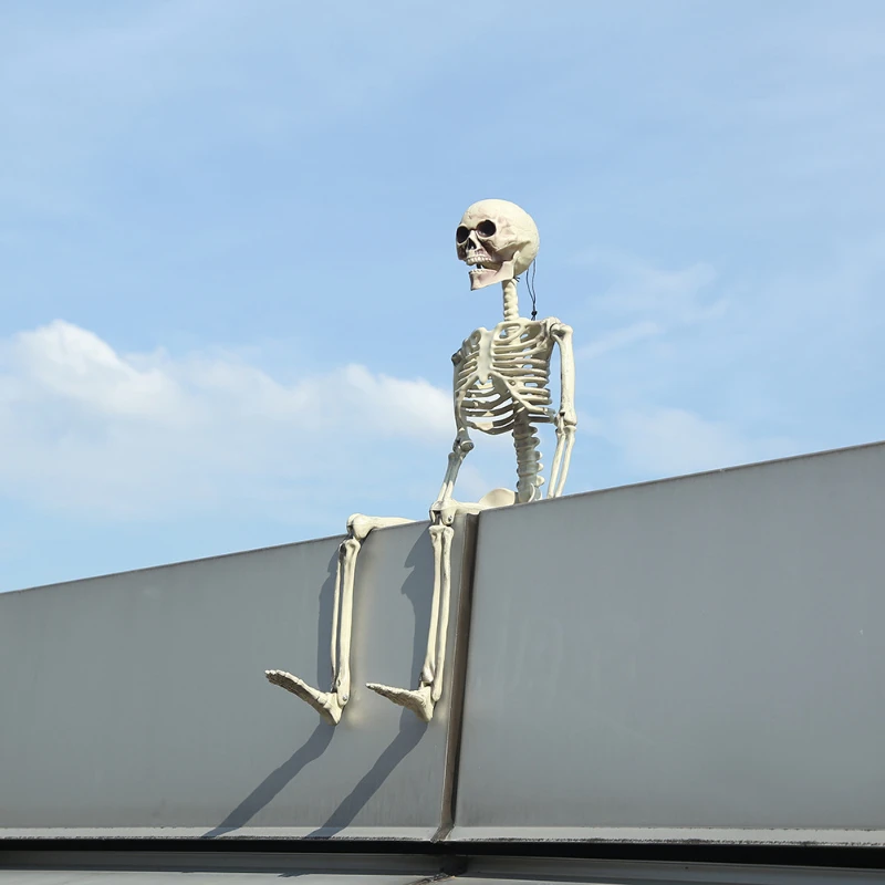 Halloween 40cm movable simulation skeleton pendant Halloween bar party home decorations haunted house horror props decoration
Halloween 40cm movable simulation skeleton pendant Halloween bar party home decorations haunted house horror props decoration
