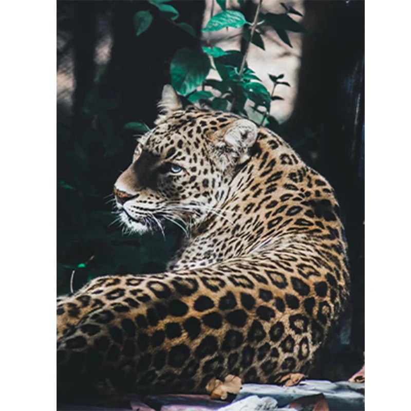 5D Diamond Embroidery Leopard Cheetah Diamond Painting Animal Full Square Round Rhinestones Painting Mosaic Home Decor Gift
5D Diamond Embroidery Leopard Cheetah Diamond Painting Animal Full Square Round Rhinestones Painting Mosaic Home Decor Gift