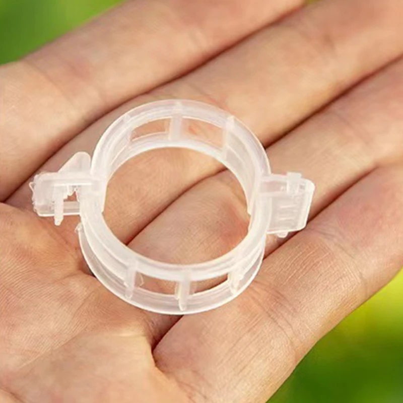 Green Plants Fixed Clamp Household Gardening Supplies 50/100pcs Tomato Stem Clips Plants Support Durable Plants Clips
Green Plants Fixed Clamp Household Gardening Supplies 50/100pcs Tomato Stem Clips Plants Support Durable Plants Clips