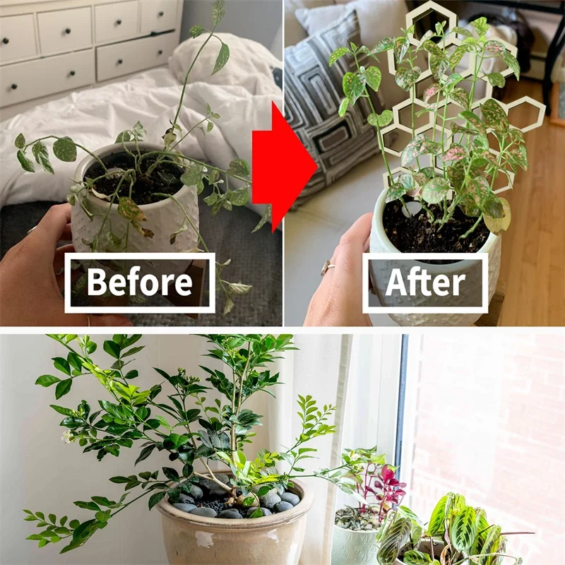 Plant bracket home outdoor potted climbing frame creative flower stand support arrangement shelf gardening support climbing ratt
Plant bracket home outdoor potted climbing frame creative flower stand support arrangement shelf gardening support climbing ratt