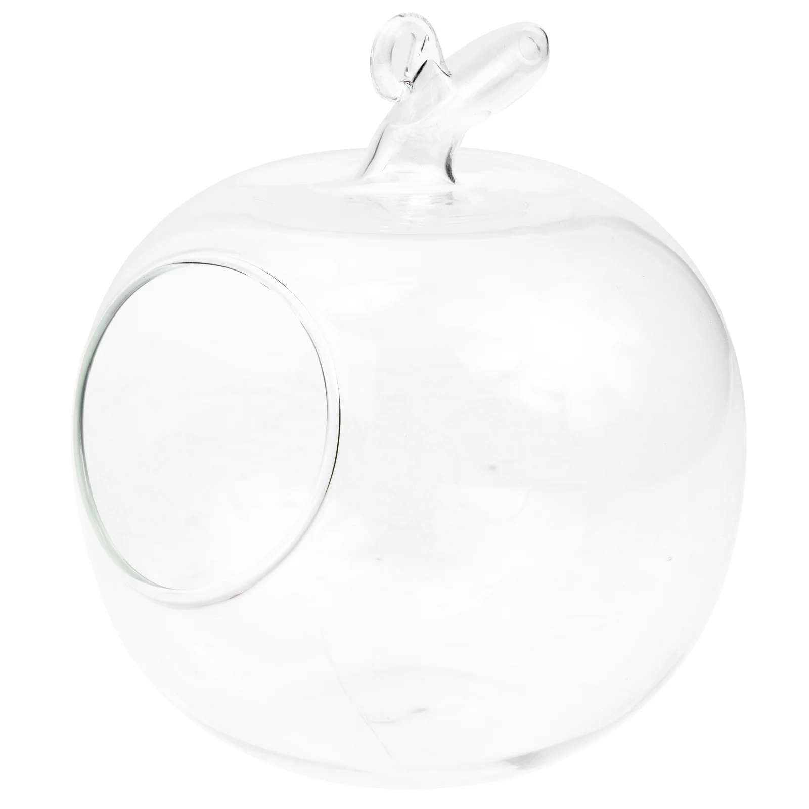 Vaseterrarium Bottle Diy Apple Micro Flower Landscape Hangingair Planter Bud Transparentcontainer Ecologicalcenterpiece Holder
Vaseterrarium Bottle Diy Apple Micro Flower Landscape Hangingair Planter Bud Transparentcontainer Ecologicalcenterpiece Holder