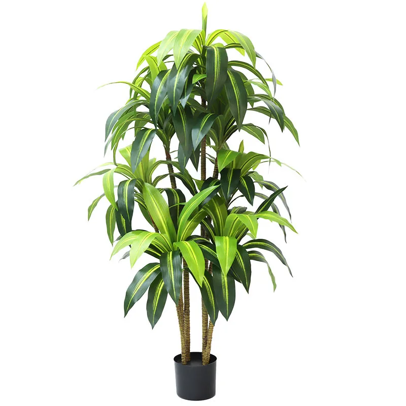 1.8M Simulation Brazil Wood Plant Lifelike For Home Indoor Floor Decoration Garden Pots And Planter Fake Green Tree Ornaments
1.8M Simulation Brazil Wood Plant Lifelike For Home Indoor Floor Decoration Garden Pots And Planter Fake Green Tree Ornaments