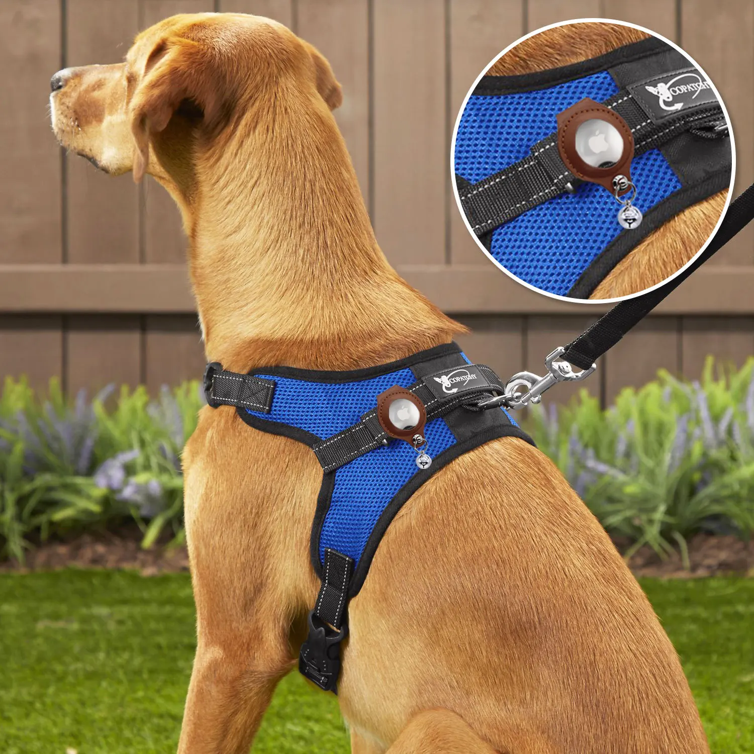 Case for Airtags,Protective Cover,Apple Airtag Key Finder Tracker,Pet Dog Itag Collar Necklace,Airtag Decor Accessories Holder
Case for Airtags,Protective Cover,Apple Airtag Key Finder Tracker,Pet Dog Itag Collar Necklace,Airtag Decor Accessories Holder