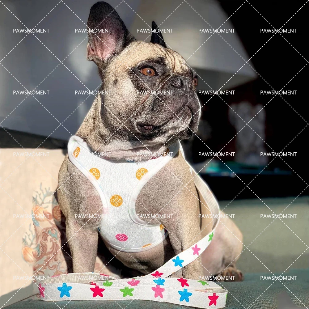 Fashion Pet Dog Harness Outdoor Dog Walking Leather Dog Harness and Leash Set Small Dog French Bulldog Pet Accessories Q-001
Fashion Pet Dog Harness Outdoor Dog Walking Leather Dog Harness and Leash Set Small Dog French Bulldog Pet Accessories Q-001