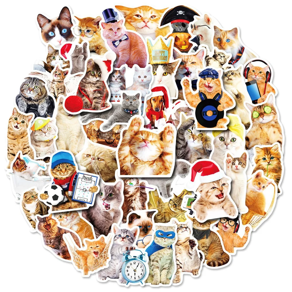 10/30/50PCS Cartoon Realistic Cat Sticker Funny Cute Kawaii Graffiti Suitable for Laptop Guitar Water Cup Ipai Sticker Wholesale
10/30/50PCS Cartoon Realistic Cat Sticker Funny Cute Kawaii Graffiti Suitable for Laptop Guitar Water Cup Ipai Sticker Wholesale