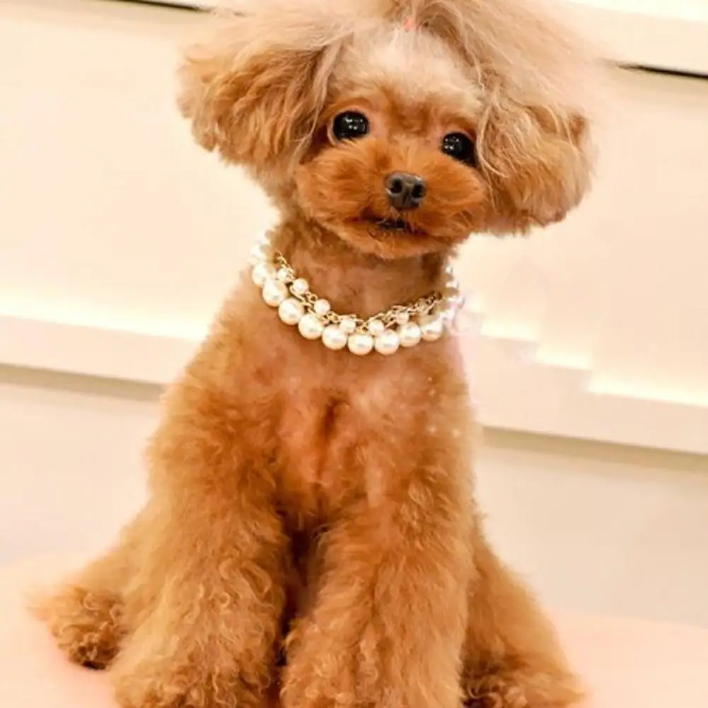 Pet Artificial Pearl Necklace 3 Sizes Cat Dog Jewelry Collar Pet Supplies With Adjustable Clasp
Pet Artificial Pearl Necklace 3 Sizes Cat Dog Jewelry Collar Pet Supplies With Adjustable Clasp