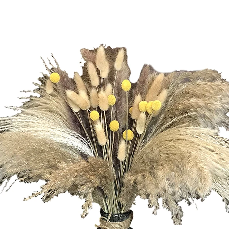 65 Pcs,17.3 Inch Pampas Grass Plants for Kitchen Yard Home Decor, Pampas Grass for Wedding Flower Arrangements
65 Pcs,17.3 Inch Pampas Grass Plants for Kitchen Yard Home Decor, Pampas Grass for Wedding Flower Arrangements