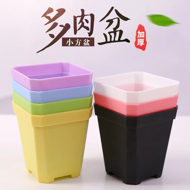 Succulent Plant Plastic Nursery Leaf Flower Pot Thickened Square Small Black Square Flower Pot
Succulent Plant Plastic Nursery Leaf Flower Pot Thickened Square Small Black Square Flower Pot