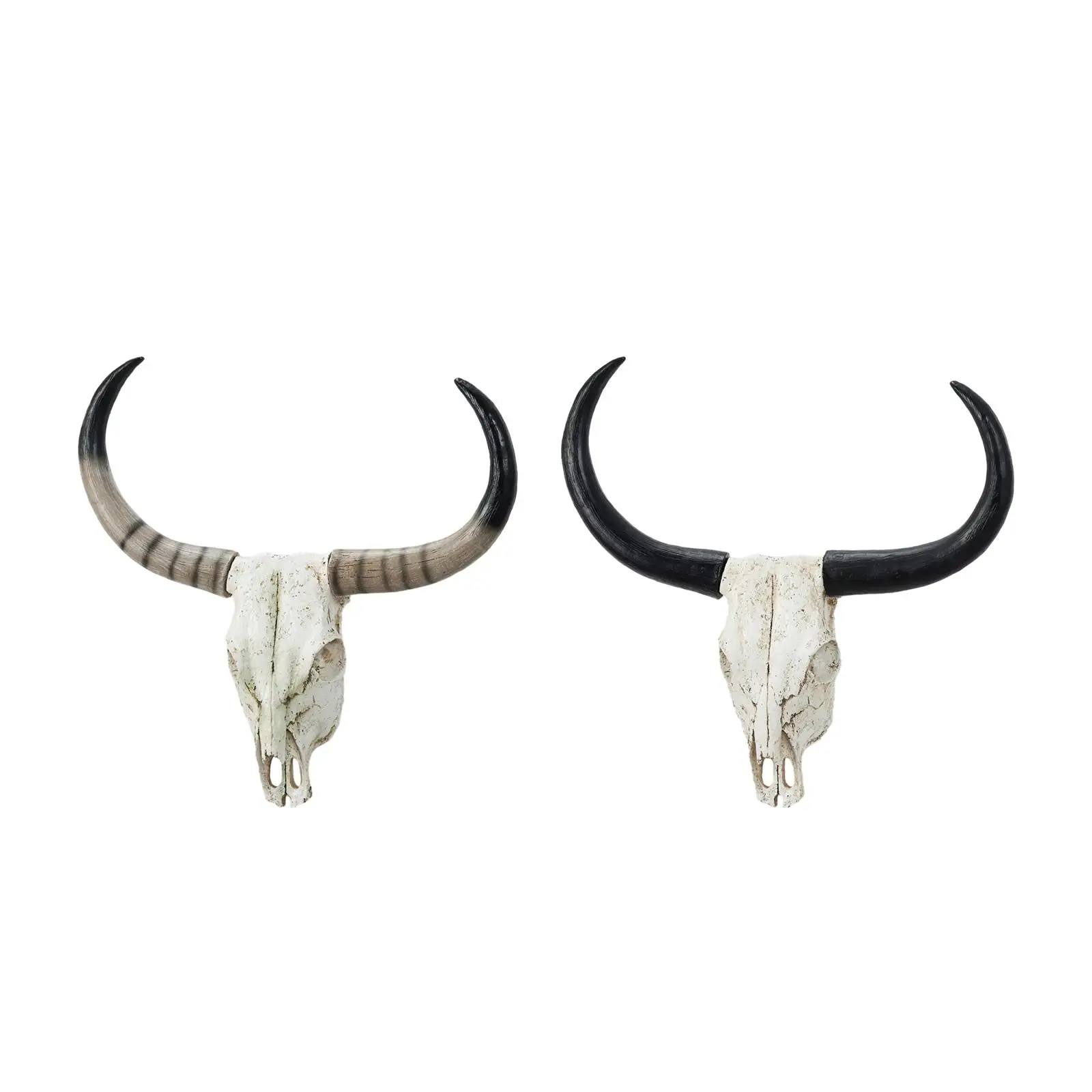 Long Horn Cow Skull Wall Sculpture Animals Heads Wall Decor for Cabinet Home
Long Horn Cow Skull Wall Sculpture Animals Heads Wall Decor for Cabinet Home