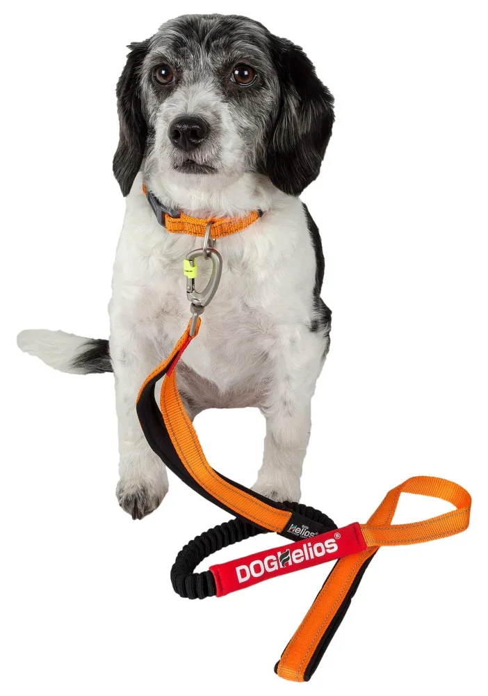 Dog Helios Neo-Indestructible Easy-Tension Sporty Embroidered Thick Durable Pet Dog Leash And Collar
Dog Helios Neo-Indestructible Easy-Tension Sporty Embroidered Thick Durable Pet Dog Leash And Collar