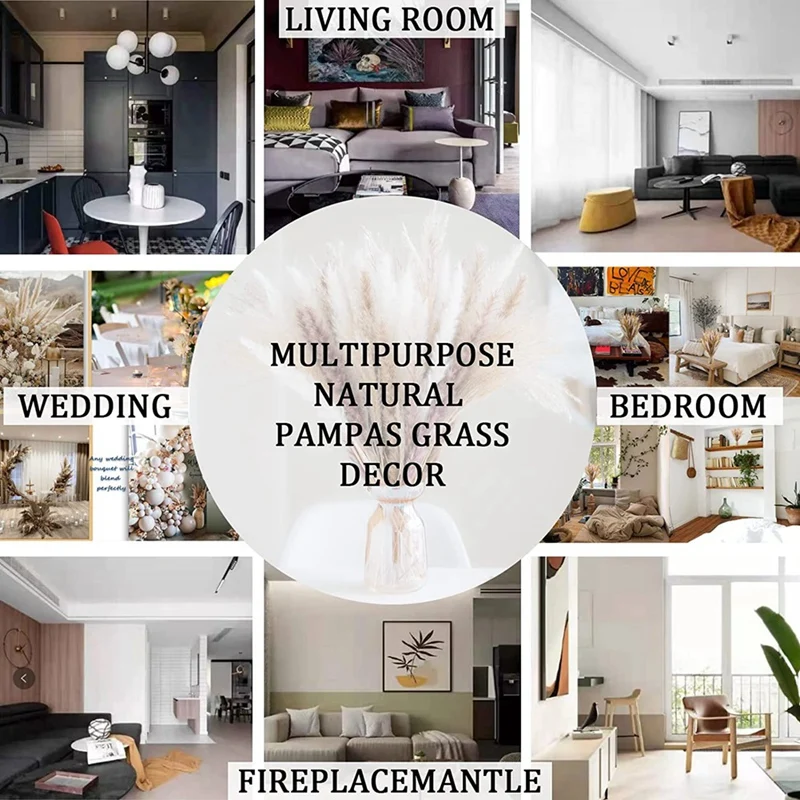 Pampas Grass 90Pcs Natural Dried Flowers-For Home And Room Decorations, 100% Natural Pampas Grass Decor Valentine Gifts
Pampas Grass 90Pcs Natural Dried Flowers-For Home And Room Decorations, 100% Natural Pampas Grass Decor Valentine Gifts