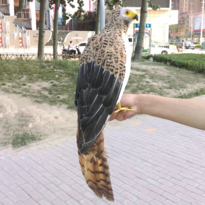 Simulated owl real feather ornaments props decorated eagle model specimen living room decoration home decor
Simulated owl real feather ornaments props decorated eagle model specimen living room decoration home decor