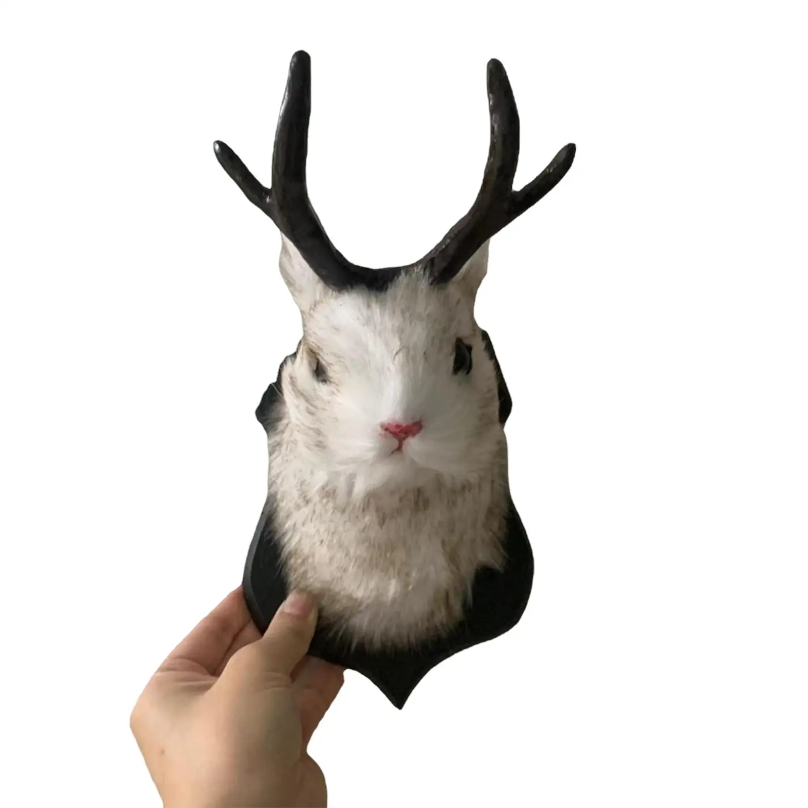 Nordic Mount Wall Decor Antlers Hanging Simulation Art Crafts Resin Bunny Sculpture for Cabinet Farmhouse Office Wall Decoration
Nordic Mount Wall Decor Antlers Hanging Simulation Art Crafts Resin Bunny Sculpture for Cabinet Farmhouse Office Wall Decoration