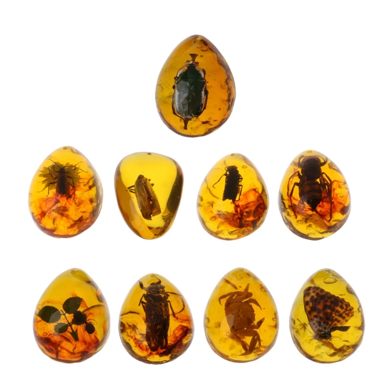 Animals Amber for butterfly Stone Pendant Necklace Gemstone for DIY Jewe
Animals Amber for butterfly Stone Pendant Necklace Gemstone for DIY Jewe