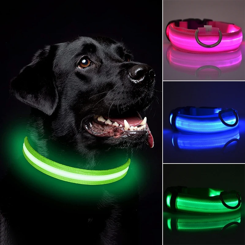 LED Glowing Dog Collar Pet USB Charging/Battery Night Safety Necklace Adjustable Anti-lost 3 Modes Light Collar Puppy Supplies
LED Glowing Dog Collar Pet USB Charging/Battery Night Safety Necklace Adjustable Anti-lost 3 Modes Light Collar Puppy Supplies