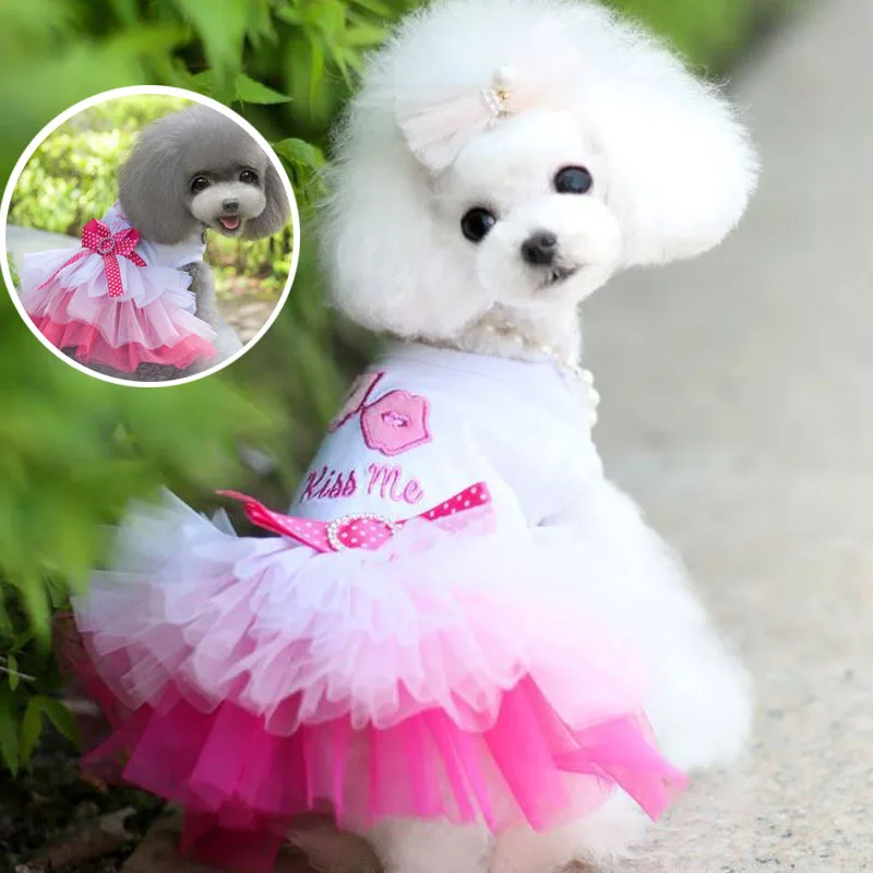 Summer Dogs Tutu Dress Lace Mesh Pet Clothes For Small Dog Colorful Sweet Puppy Wedding Dress Good Quality Durable Dog Clothes 
Summer Dogs Tutu Dress Lace Mesh Pet Clothes For Small Dog Colorful Sweet Puppy Wedding Dress Good Quality Durable Dog Clothes
