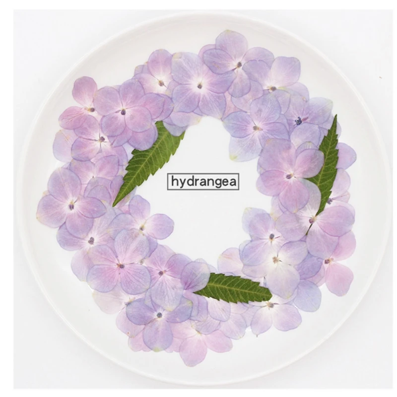 41XC 60 Pcs/Set Natural Pink Purple Hydrangea DIY Dried Flowers UV Expoxy Resin Mold Filling Flower Nail Art Pressed Flower
41XC 60 Pcs/Set Natural Pink Purple Hydrangea DIY Dried Flowers UV Expoxy Resin Mold Filling Flower Nail Art Pressed Flower