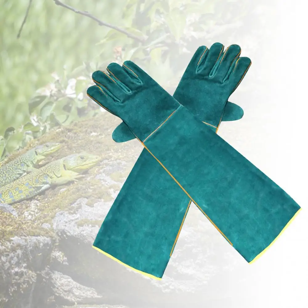 Protective Protective Cover Gloves 2Pcs 2Pcs/Pair Animal Protection Reptile Handling Anti-bite Cover
Protective Protective Cover Gloves 2Pcs 2Pcs/Pair Animal Protection Reptile Handling Anti-bite Cover
