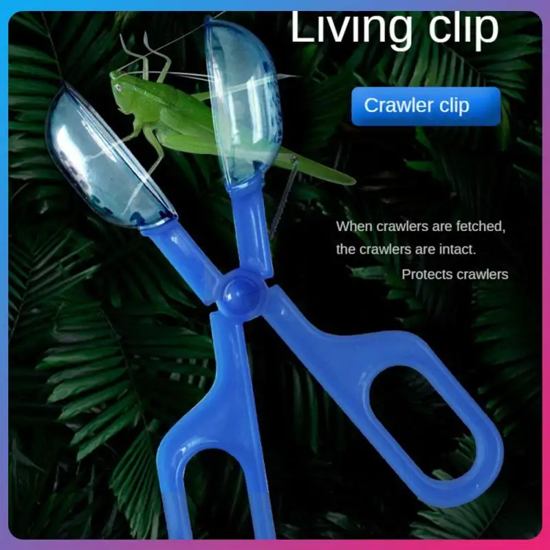 Специальный гусеничный зажим, новинка, ящерица, лягушка, паук, гусеничные зажимы из АБС-пластика, прозрачный инструмент для очистки, ловушки, товары для борьбы с вредителями
Специальный гусеничный зажим, новинка, ящерица, лягушка, паук, гусеничные зажимы из АБС-пластика, прозрачный инструмент для очистки, ловушки, товары для борьбы с вредителями