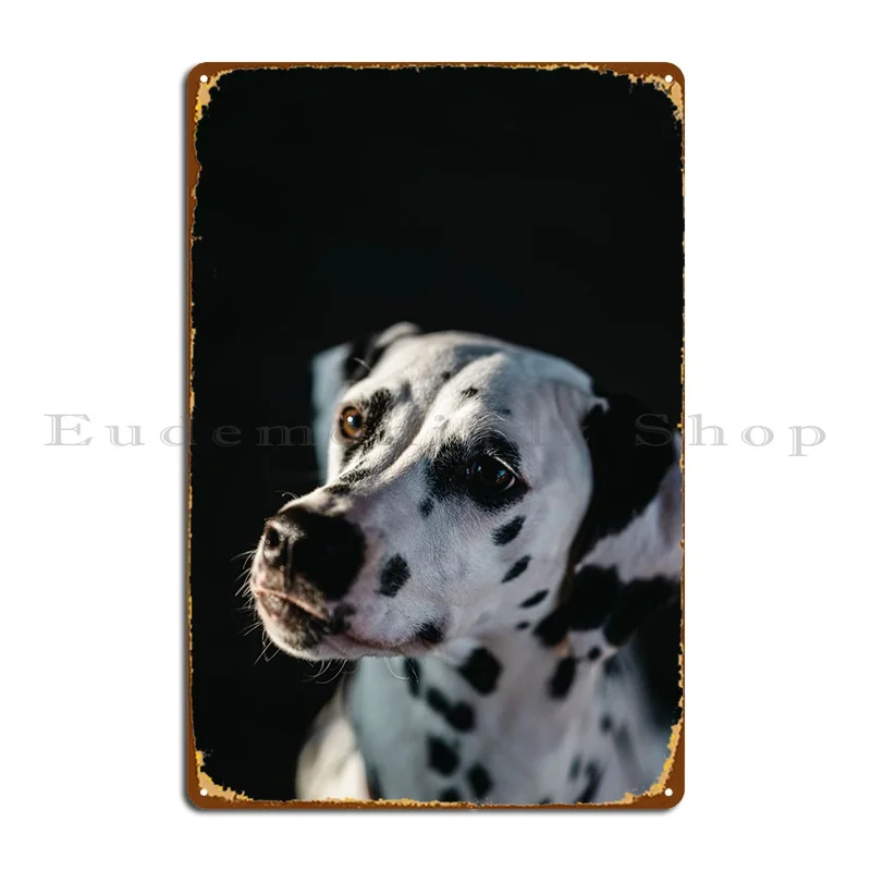 

Далматинская собака, портрет, металлический знак, плакат, дизайн, создание печатных фотографий