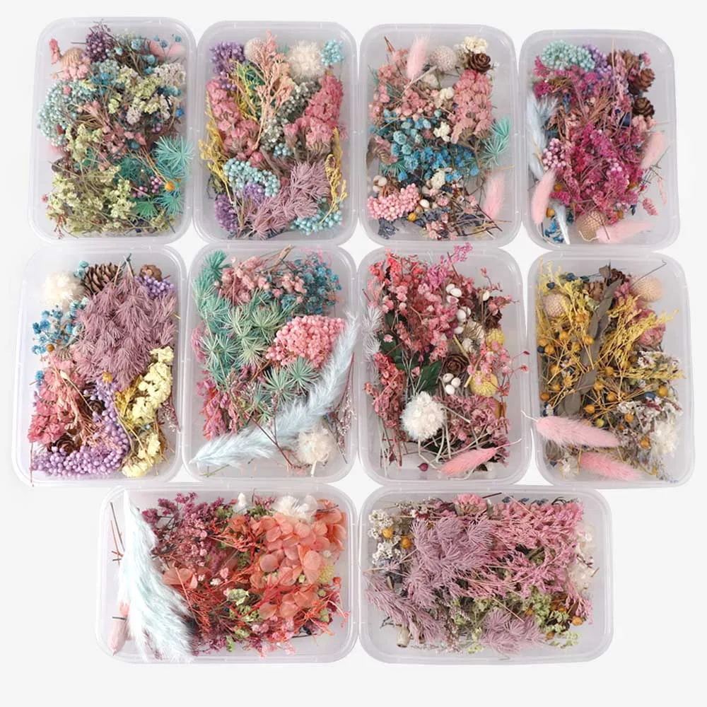 1Box Mix Beautiful Real Dried Flowers Natural Floral for Art Craft Scrapbooking Resin Jewelry Craft Making Epoxy Mold Filling
1Box Mix Beautiful Real Dried Flowers Natural Floral for Art Craft Scrapbooking Resin Jewelry Craft Making Epoxy Mold Filling