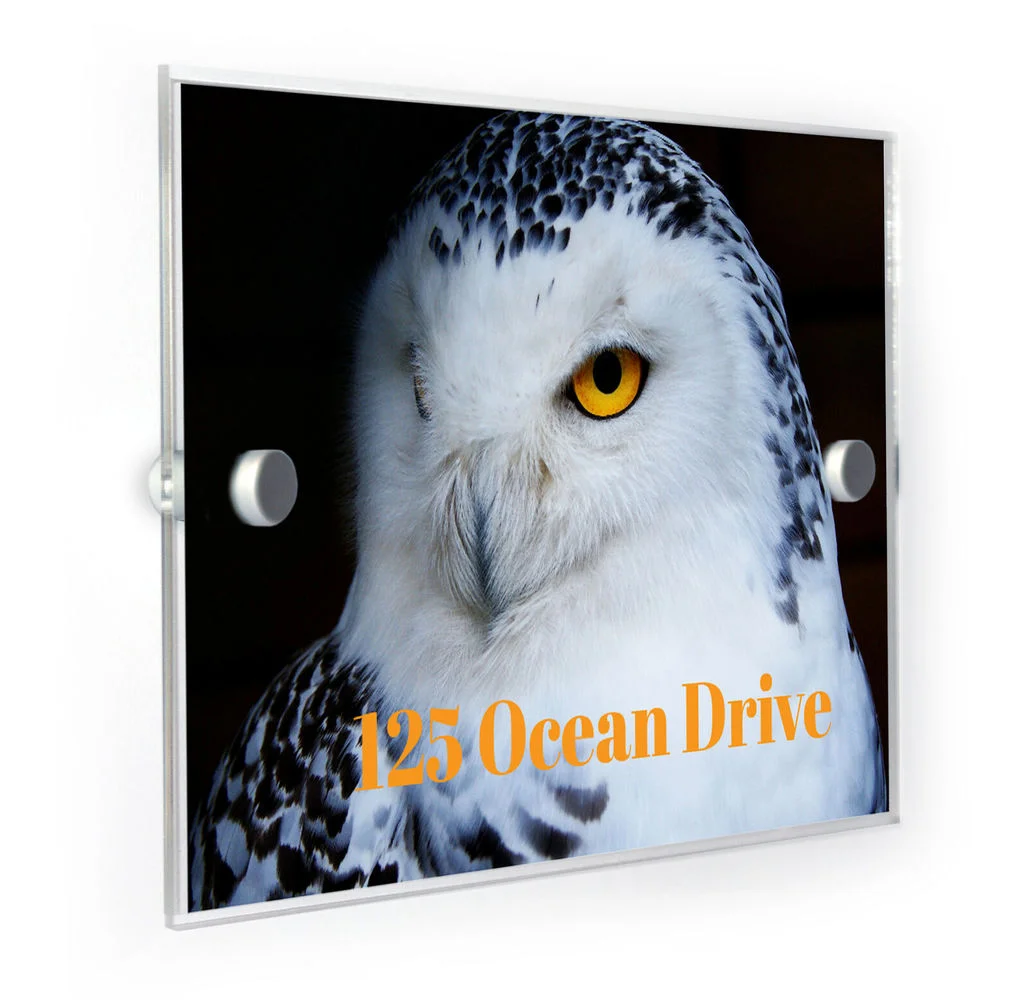 Customized Acrylic Snowy Owl House Number Plaque Home Address Sign
Customized Acrylic Snowy Owl House Number Plaque Home Address Sign