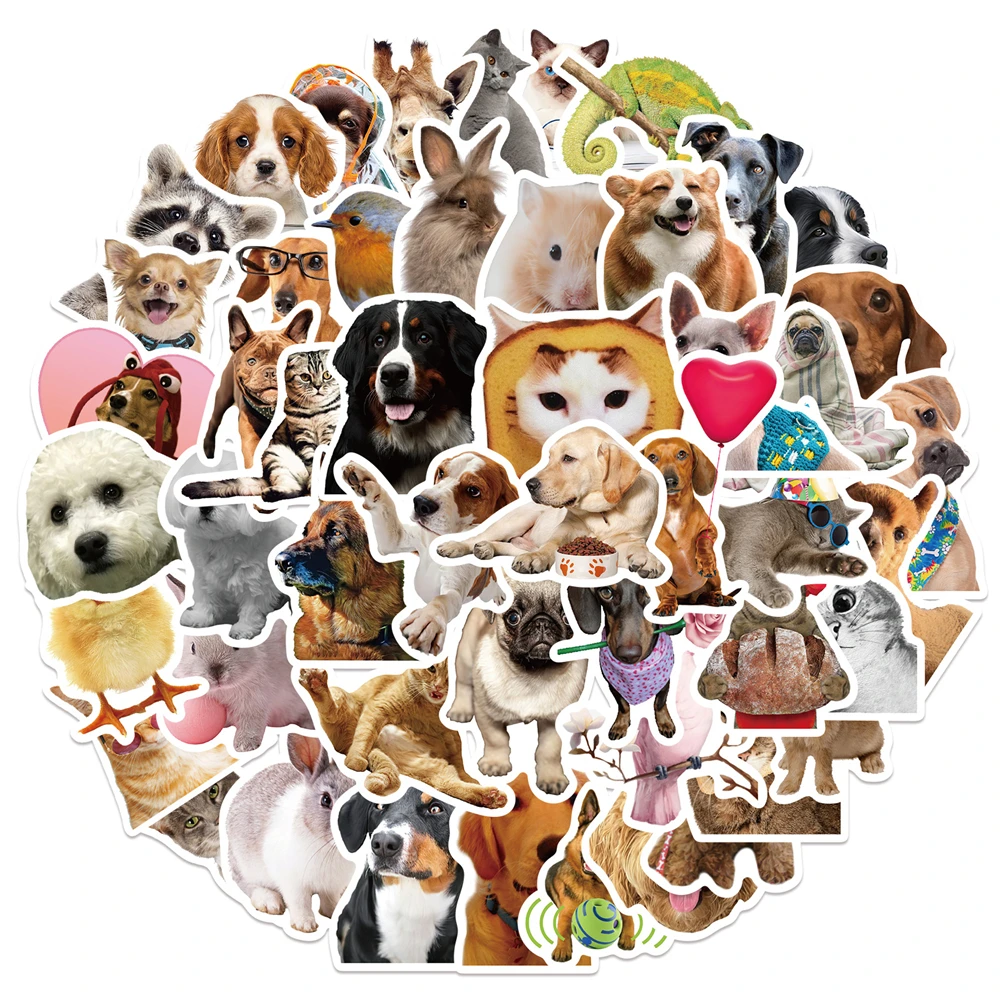 10/50 Pcs Cute Funny Cat Dog Animals Graffiti Stickers Decoration Phone Case Kids Toys Bicycle Backpack Thin Waterproof Stickers
10/50 Pcs Cute Funny Cat Dog Animals Graffiti Stickers Decoration Phone Case Kids Toys Bicycle Backpack Thin Waterproof Stickers