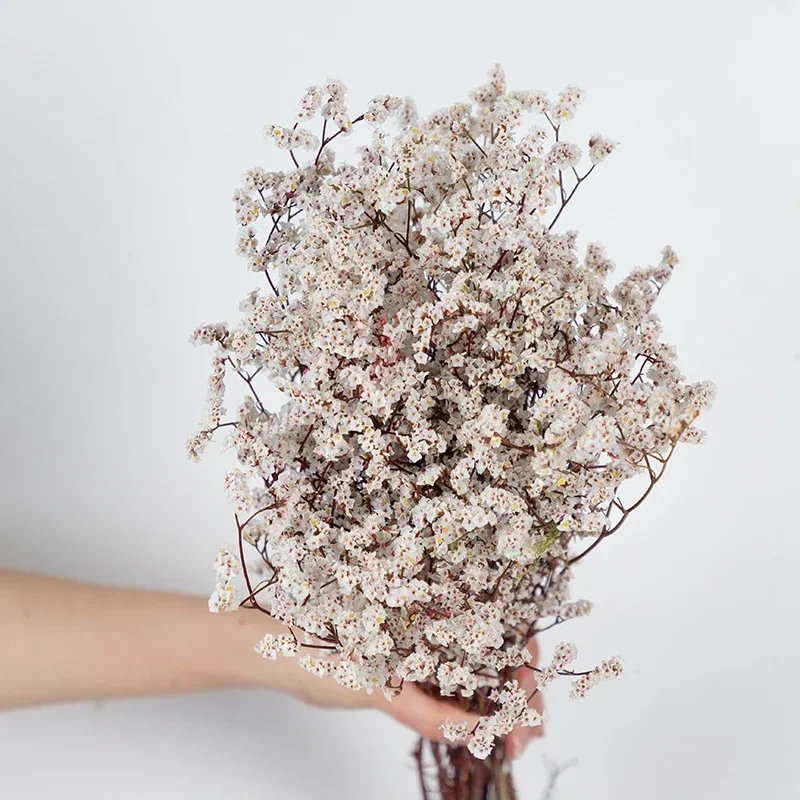 Букет сухоцветов из ротанга YN HI FLOWER ENJOY YOUR LIFE
Букет сухоцветов из ротанга YN HI FLOWER ENJOY YOUR LIFE