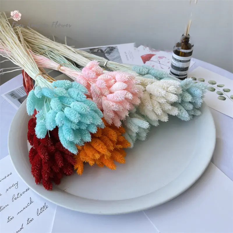 30g/90g Dried Flower Plant Gem Grass Wedding Decoration Ornament Pink Grass Living Room Home Decoration Photo Shooting Props
30g/90g Dried Flower Plant Gem Grass Wedding Decoration Ornament Pink Grass Living Room Home Decoration Photo Shooting Props