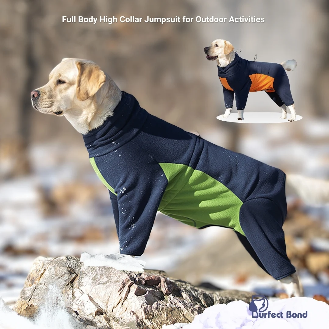 Dog Winter Coat Polar Fleece Pullover Cold Weather Jacket, Warm Fleece Pet Clothes Full Body High Collar Sweater bodysuit
Dog Winter Coat Polar Fleece Pullover Cold Weather Jacket, Warm Fleece Pet Clothes Full Body High Collar Sweater bodysuit