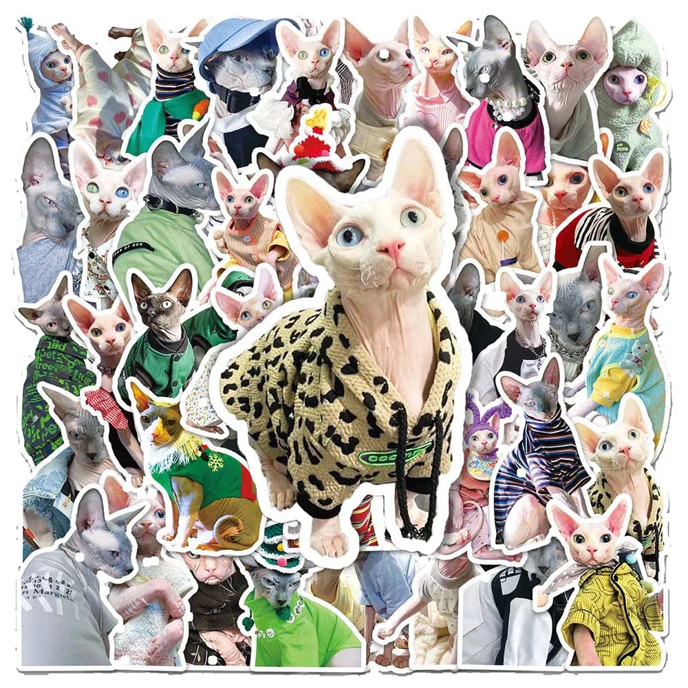10/50Pcs Cartoon Funny Cute Animal Cat Varied Stickers Pack for Kids Phone Scrapbooking Wall Decoration Graffiti Sticker Decals
10/50Pcs Cartoon Funny Cute Animal Cat Varied Stickers Pack for Kids Phone Scrapbooking Wall Decoration Graffiti Sticker Decals
