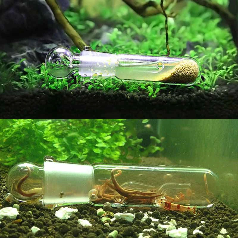 

Aquarium Planaria Trap FIsh Tank Clear Glass Catch Trap for Cherry Shrimp Crystal Red Shrimp Dwarf Shrimp Flat Worms Leeches