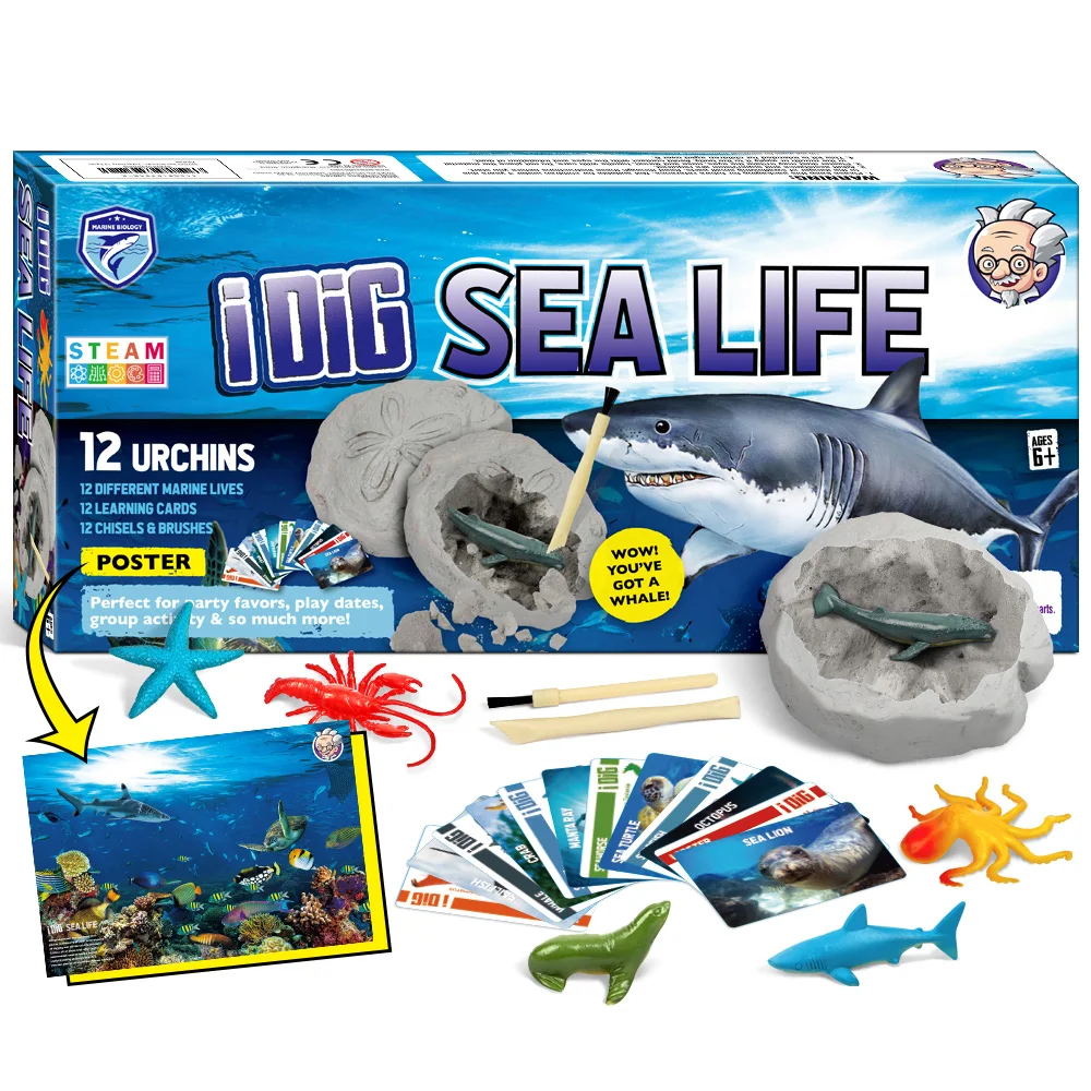 Набор для раскопок морских животных детей Ocean Life Игрушки ванны Фигурки Сувениры