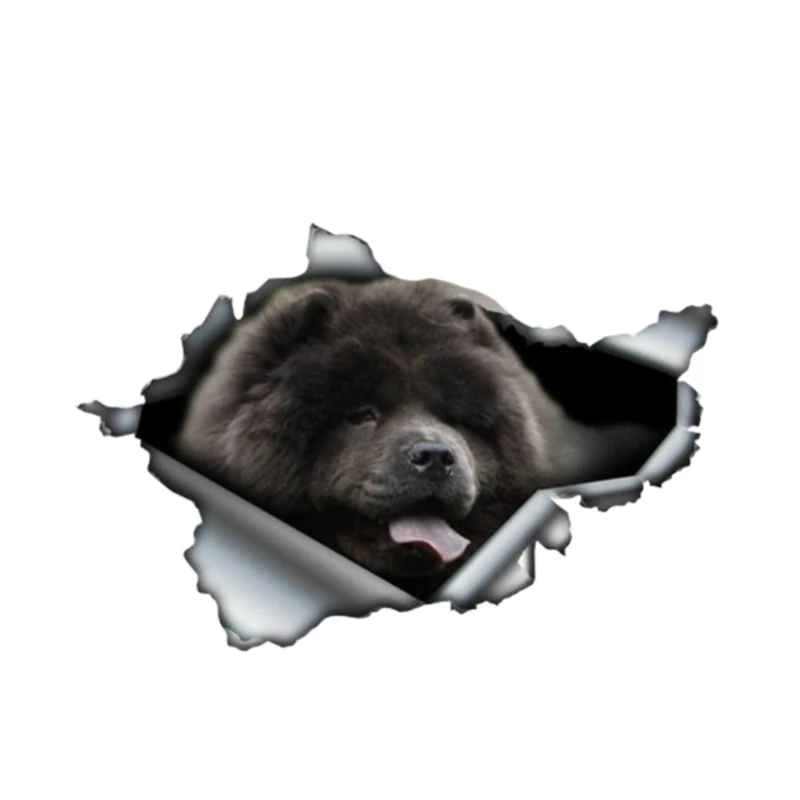 Рваная металлическая Персонализированная Водонепроницаемая наклейка автомобильная наклейка Блокнот Грузовик Мотоцикл бампер животное 3D автозапчасти ПВХ 13*8 см
Рваная металлическая Персонализированная Водонепроницаемая наклейка автомобильная наклейка Блокнот Грузовик Мотоцикл бампер животное 3D автозапчасти ПВХ 13*8 см