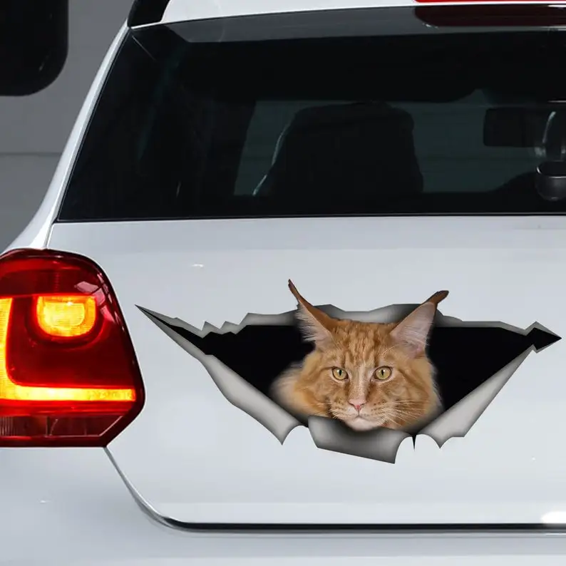 

Red Maine Coon car decal, funny sticker, Red Maine Coon car sticker, maine coon magnet