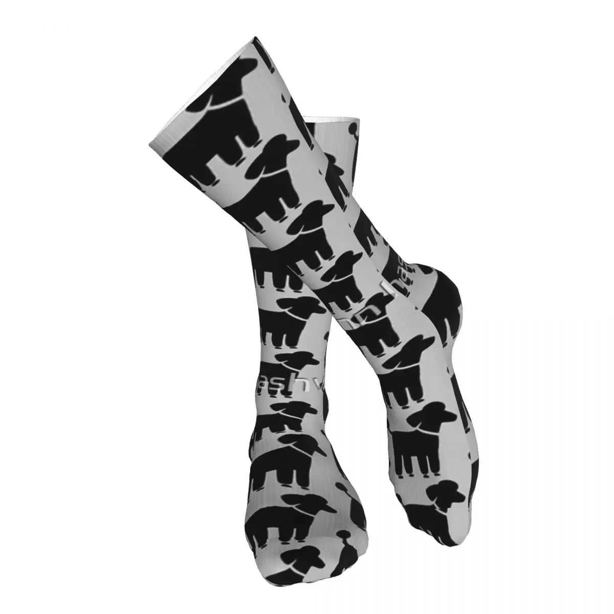 Black Poodle Adult Stockings Stretchy For Daily Matching Thigh length Socks Customised Patterns
Black Poodle Adult Stockings Stretchy For Daily Matching Thigh length Socks Customised Patterns