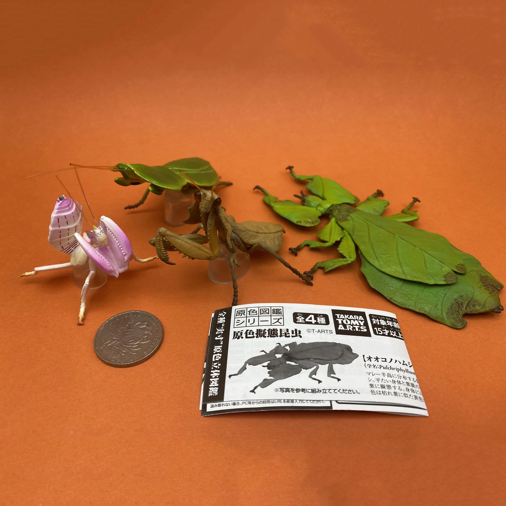 TAKARA TOMY Genuine Insect Simulation Model Gashapon Toys Mantis Phyllium Giganteum Model Ornament Toys
TAKARA TOMY Genuine Insect Simulation Model Gashapon Toys Mantis Phyllium Giganteum Model Ornament Toys